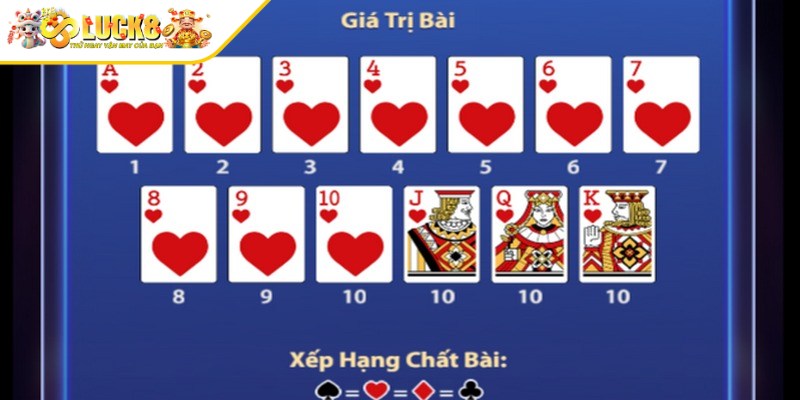 Các thuật ngữ cơ bản xuất hiện trong bài phỏm